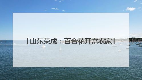 山东荣成：百合花开富农家