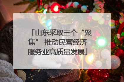 山东采取三个“聚焦” 推动民营经济服务业高质量发展