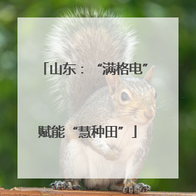 山东：“满格电”赋能“慧种田”