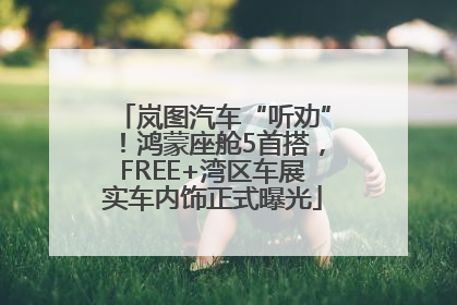岚图汽车“听劝”！鸿蒙座舱5首搭，FREE+湾区车展实车内饰正式曝光