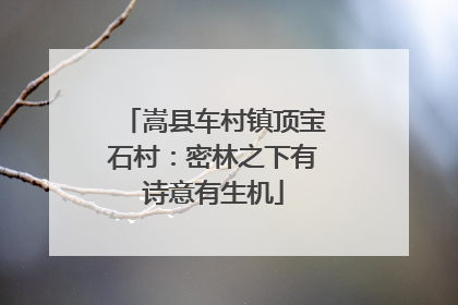 嵩县车村镇顶宝石村：密林之下有诗意有生机