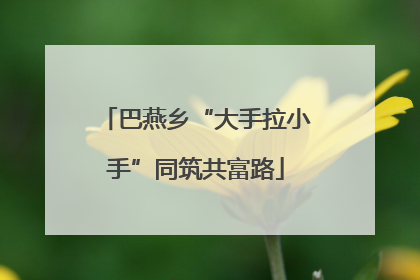 巴燕乡“大手拉小手”同筑共富路