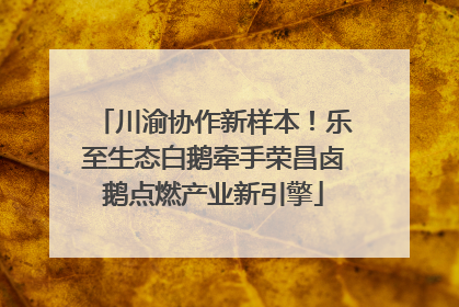 川渝协作新样本！乐至生态白鹅牵手荣昌卤鹅点燃产业新引擎