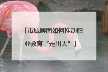 市域层面如何推动职业教育“走出去”