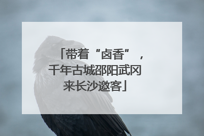 带着“卤香”，千年古城邵阳武冈来长沙邀客