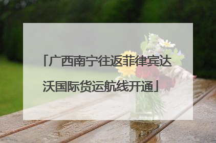 广西南宁往返菲律宾达沃国际货运航线开通
