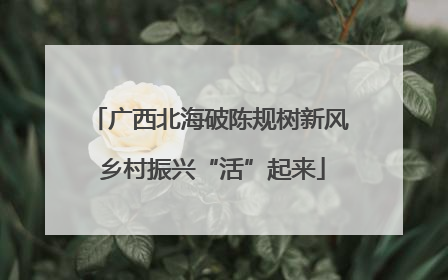 广西北海破陈规树新风 乡村振兴“活”起来