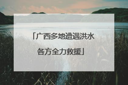 广西多地遭遇洪水 各方全力救援