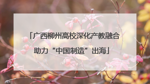 广西柳州高校深化产教融合 助力“中国制造”出海