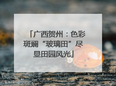 广西贺州：色彩斑斓“玻璃田”尽显田园风光