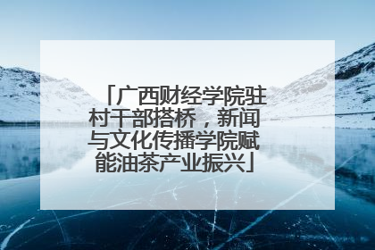 广西财经学院驻村干部搭桥，新闻与文化传播学院赋能油茶产业振兴