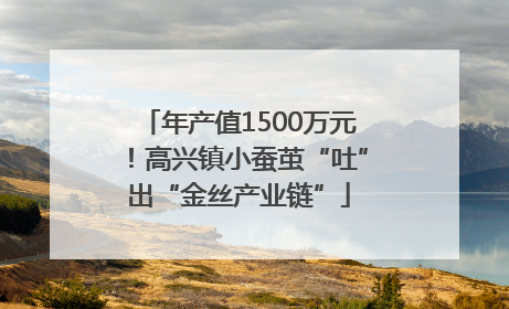 年产值1500万元！高兴镇小蚕茧“吐”出“金丝产业链”