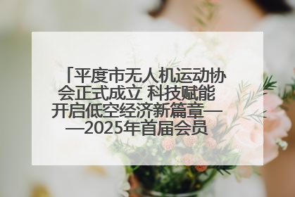 平度市无人机运动协会正式成立 科技赋能开启低空经济新篇章——2025年首届会员大会暨无人机应用发展论坛成功举办