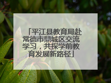 平江县教育局赴常德市鼎城区交流学习，共探学前教育发展新路径