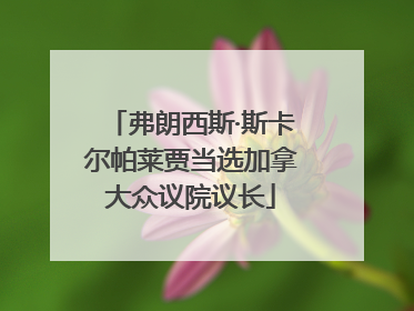 弗朗西斯·斯卡尔帕莱贾当选加拿大众议院议长