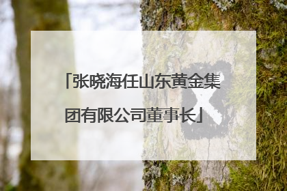 张晓海任山东黄金集团有限公司董事长