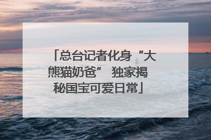 总台记者化身“大熊猫奶爸” 独家揭秘国宝可爱日常