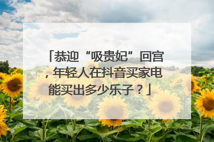 恭迎“吸贵妃”回宫，年轻人在抖音买家电能买出多少乐子？