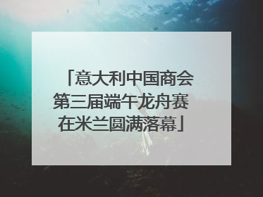 意大利中国商会第三届端午龙舟赛在米兰圆满落幕