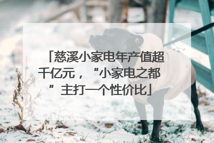 慈溪小家电年产值超千亿元，“小家电之都”主打一个性价比