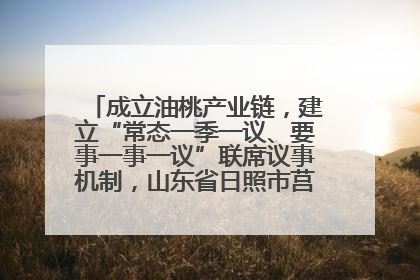 成立油桃产业链，建立“常态一季一议、要事一事一议”联席议事机制，山东省日照市莒县果庄镇——13个党小组“全周期”育果