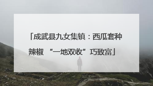成武县九女集镇：西瓜套种辣椒 “一地双收”巧致富