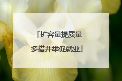 扩容量提质量 多措并举促就业
