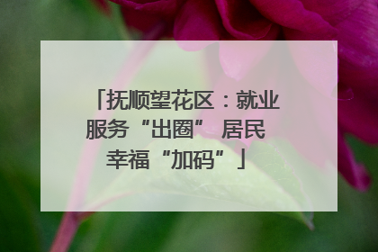 抚顺望花区：就业服务“出圈” 居民幸福“加码”