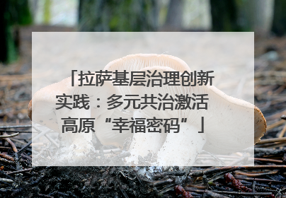 拉萨基层治理创新实践：多元共治激活高原“幸福密码”