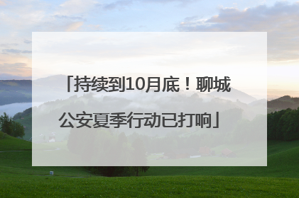 持续到10月底！聊城公安夏季行动已打响