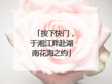 按下快门，于湘江畔赴湖南花海之约