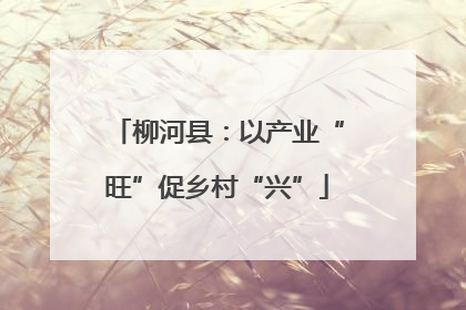 柳河县：以产业“旺”促乡村“兴”
