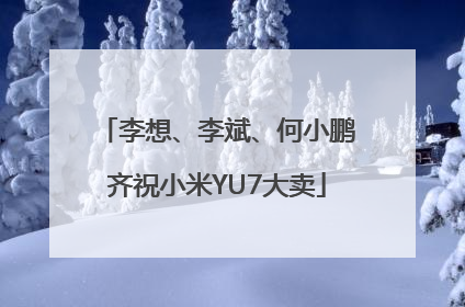 李想、李斌、何小鹏齐祝小米YU7大卖