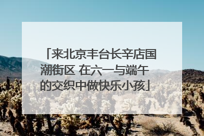 来北京丰台长辛店国潮街区 在六一与端午的交织中做快乐小孩