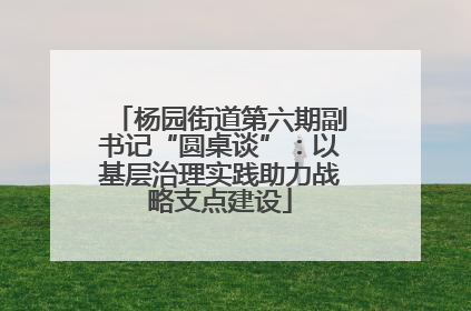 杨园街道第六期副书记“圆桌谈”：以基层治理实践助力战略支点建设