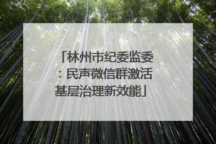 林州市纪委监委：民声微信群激活基层治理新效能