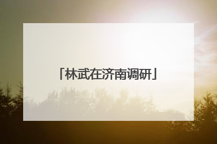 林武在济南调研