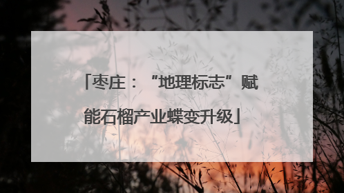 枣庄：“地理标志”赋能石榴产业蝶变升级