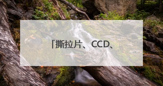 撕拉片、CCD、拍立得……年轻人正为电子怀旧买单