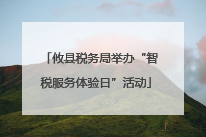 攸县税务局举办“智税服务体验日”活动