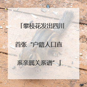 攀枝花发出四川首张“户籍人口直系亲属关系谱”