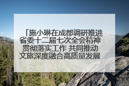 施小琳在成都调研推进省委十二届七次全会精神贯彻落实工作 共同推动文旅深度融合高质量发展 加快打造支柱产业民生产业幸福产业