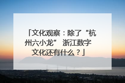 文化观察：除了“杭州六小龙” 浙江数字文化还有什么？
