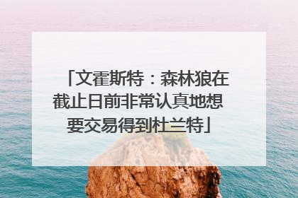 文霍斯特：森林狼在截止日前非常认真地想要交易得到杜兰特