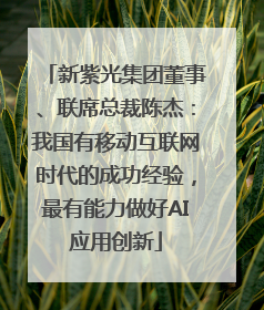 新紫光集团董事、联席总裁陈杰：我国有移动互联网时代的成功经验，最有能力做好AI应用创新