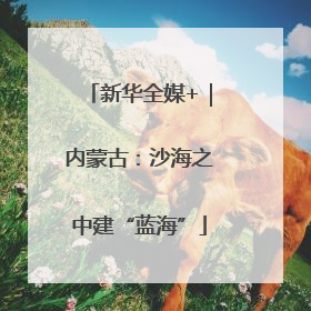 新华全媒+｜内蒙古：沙海之中建“蓝海”