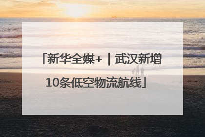 新华全媒+｜武汉新增10条低空物流航线
