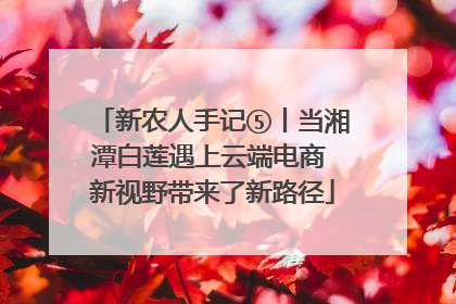 新农人手记⑤丨当湘潭白莲遇上云端电商 新视野带来了新路径