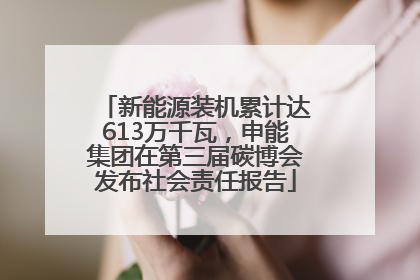 新能源装机累计达613万千瓦，申能集团在第三届碳博会发布社会责任报告