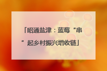 昭通盐津：蓝莓“串”起乡村振兴增收链